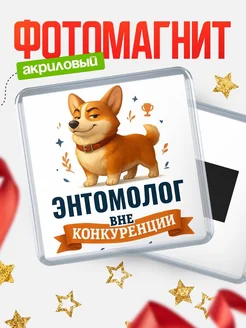 Купить магнит корги Энтомолог с доставкой по России — оригинальный подарок кадровику