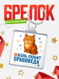 Купить брелок с котом Правоведа с доставкой по России — именной подарок кадровику