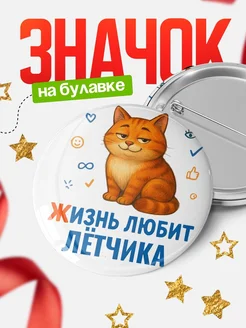 Купить значок с рыжим котом для Лётчика с доставкой по России