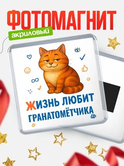 Купить магнит с Гранатомётчика-котом с доставкой по России — оригинальный подарок кадровику