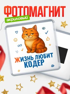 Купить магнит с Кодер-котом с доставкой по России — оригинальный подарок кадровику