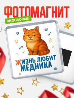 Купить магнит с Медника-котом с доставкой по России — оригинальный подарок кадровику
