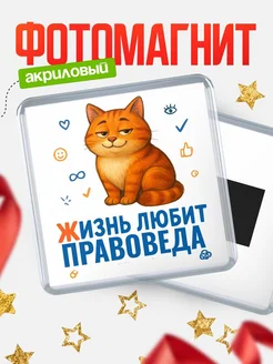 Купить магнит с Правоведа-котом с доставкой по России — оригинальный подарок кадровику