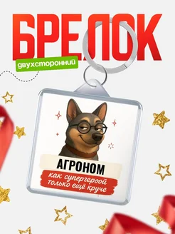 Купить брелок Агроном супергерой с доставкой по России — именной подарок кадровику