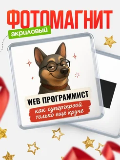 Купить магнит сувенирный 65мм Web программист как супергерой с доставкой по России