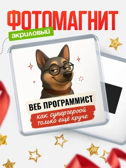 Купить магнит сувенирный 65мм Веб программист как супергерой с доставкой по России