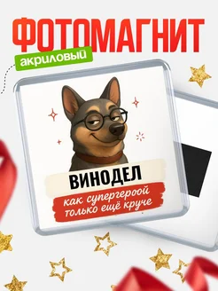 Купить магнит сувенирный 65мм Винодел как супергерой с доставкой по России