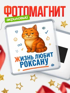 Купить магнит с рыжим котом «Жизнь любит Роксану» с доставкой по России