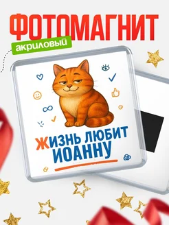 Купить магнит с рыжим котом «Жизнь любит Иоанну» с доставкой по России