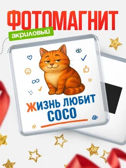Купить магнит с рыжим котом «Жизнь любит Сосо» с доставкой по России