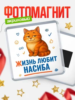 Купить магнит с рыжим котом «Жизнь любит Насиба» с доставкой по России