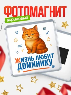 Купить магнит с рыжим котом «Жизнь любит Доминику» с доставкой по России