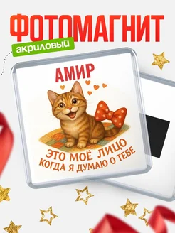 Купить магнит с рыжей кошкой с бантиком в подарок с доставкой по России