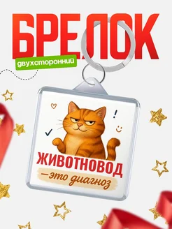 Купить брелок с рыжим котом Животновод диагноз в подарок кадровику с доставкой по России