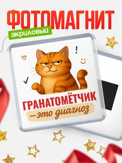 Купить магнит с котом Гранатомётчик прикол с доставкой по России в подарок