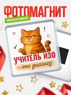 Купить магнит с котом Учитель изо прикол с доставкой по России в подарок