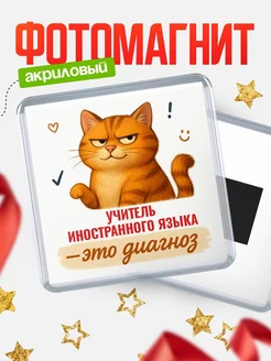 Купить магнит с котом Учитель иностранного языка прикол с доставкой по России в подарок