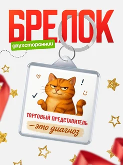 Купить брелок с рыжим котом Торговый представитель диагноз в подарок кадровику с доставкой по России