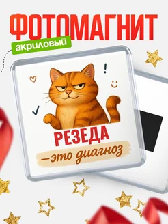 Купить магнит с рыжим котом «Резеда — это диагноз» с доставкой по России