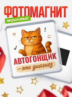 Купить магнит с котом Автогонщик прикол с доставкой по России в подарок