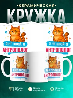 Купить кружку с принтом озорной кот Антрополог-менеджер в подарок с доставкой
