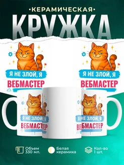 Купить кружку с принтом озорной кот Вебмастер-менеджер в подарок с доставкой