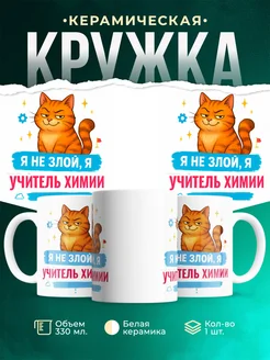 Купить кружку с принтом озорной кот Учитель химии-менеджер в подарок с доставкой