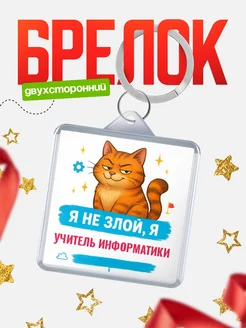 Купить брелок с котом Учитель информатики в подарок с доставкой по России