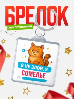 Купить брелок с котом Сомелье в подарок с доставкой по России