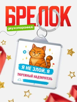 Купить брелок с котом Тюремный надзиратель в подарок с доставкой по России