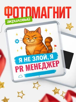 Купить магнит с котом Pr менеджер в подарок кадровику с доставкой по России