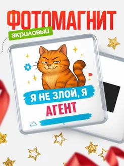 Купить магнит с котом Агент в подарок кадровику с доставкой по России