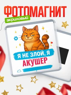 Купить магнит с котом Акушер в подарок кадровику с доставкой по России
