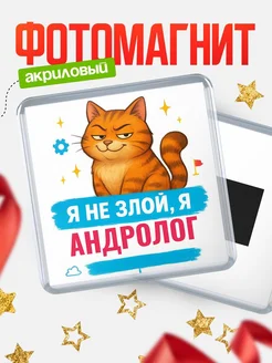 Купить магнит с котом Андролог в подарок кадровику с доставкой по России