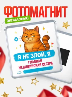 Купить магнит с котом Главная медицинская сестра в подарок кадровику с доставкой по России