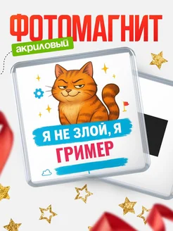 Купить магнит с котом Гример в подарок кадровику с доставкой по России
