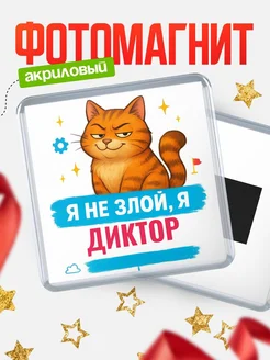 Купить магнит с котом Диктор в подарок кадровику с доставкой по России