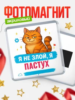 Купить магнит с котом Пастух в подарок кадровику с доставкой по России