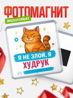 Купить магнит с котом Худрук в подарок кадровику с доставкой по России