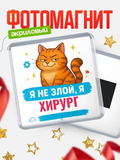 Купить магнит с котом Хирург в подарок кадровику с доставкой по России