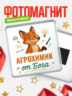 Купить магнит сувенирный 65мм с доставкой по России — Агрохимик от Бога