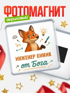 Купить магнит сувенирный 65мм с доставкой по России — Инженер химик от Бога