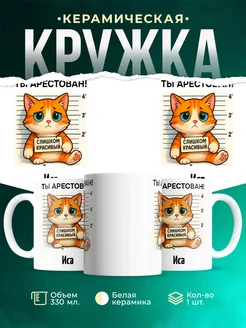 Купить кружку с рыжим котом арестованным с доставкой по России