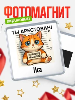 Купить магнит сувенирный 65мм с котом арестованным с доставкой