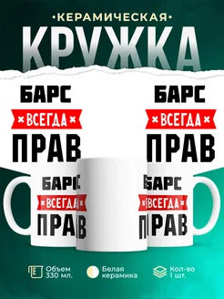 Купить кружку с приколом «Барс всегда прав» с доставкой по России