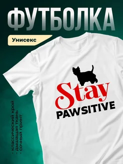 Купить футболку с котом и надписью Stay Pawsitive с доставкой по России