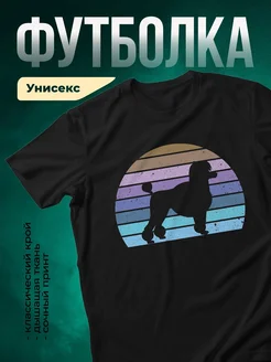 Купить чёрную футболку с принтом «Силуэты в радуге полос» с доставкой по России