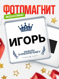 Купить магнит сувенирный 65мм Игорь — король красной книги с доставкой по России
