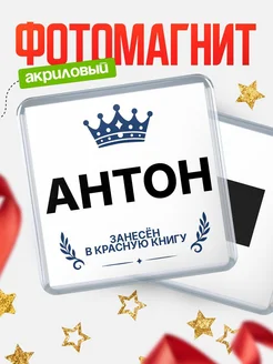 Купить магнит сувенирный 65мм Антон — король красной книги с доставкой по России