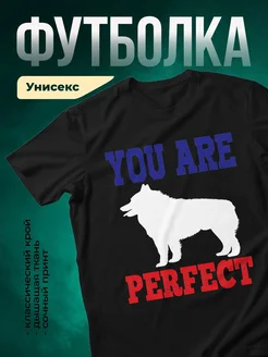 Купить футболку чёрную с принтом волк «Ты идеален» — в подарок с доставкой по России